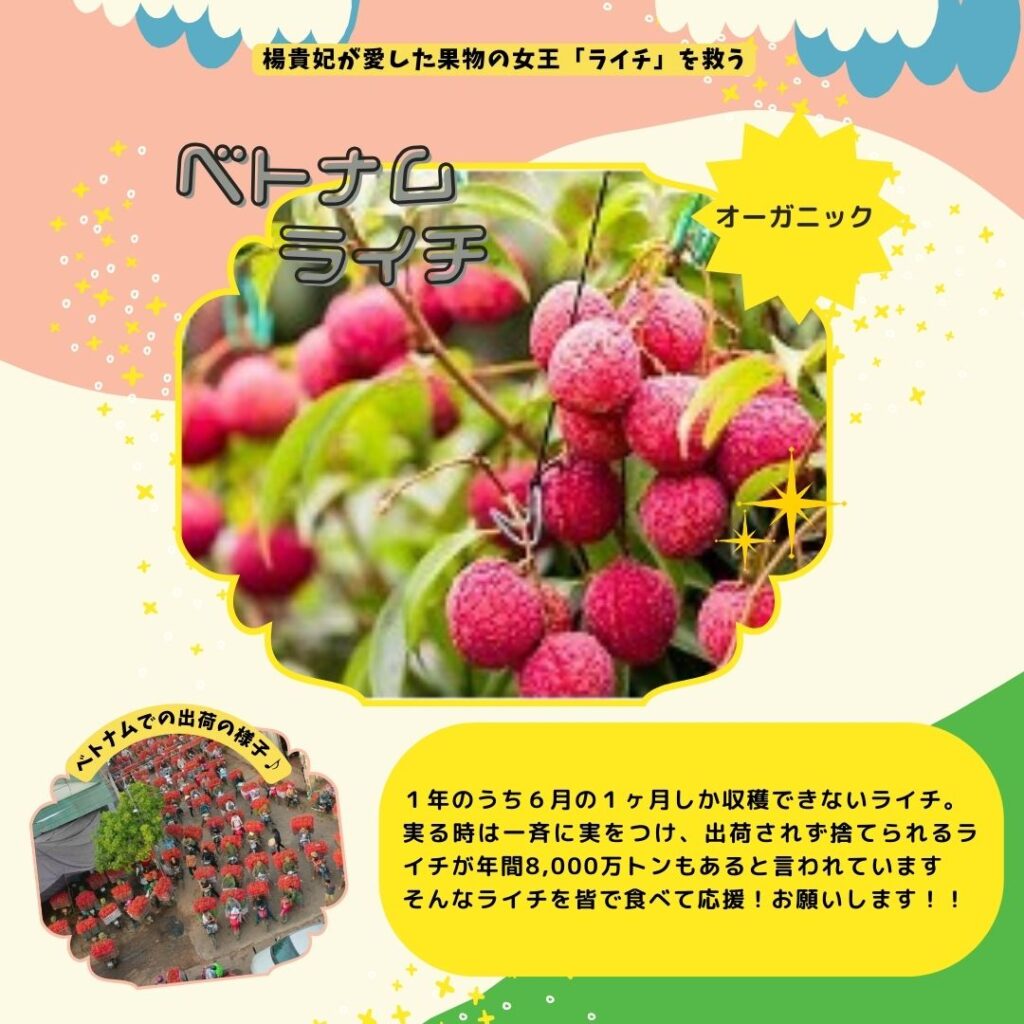 ベトナムライチ | 発酵リビングフード®