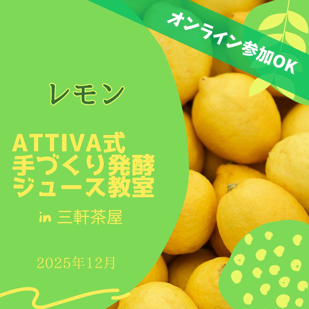 魔法🪄の手づくり発酵ジュース教室【レモン】 | 発酵リビングフード®